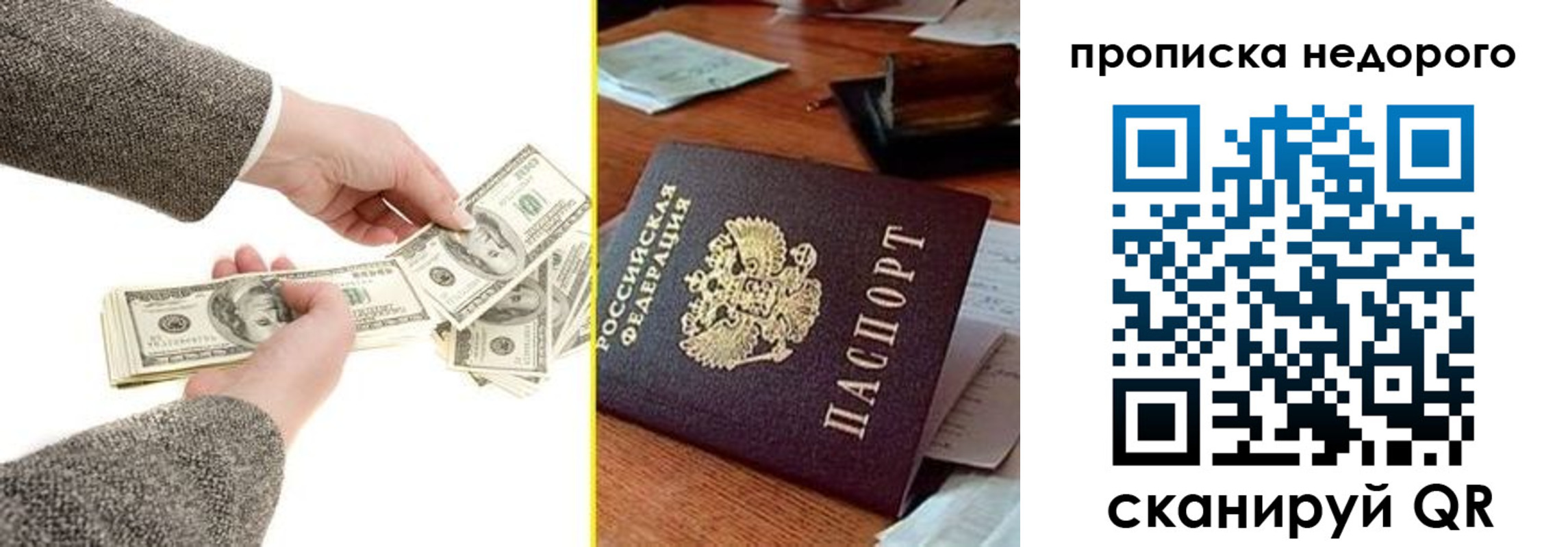 прописка для работы в Зеленогорске